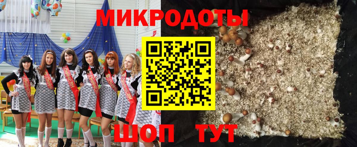 Псилоцибиновые грибы Psilocybe Сергиев Посад
